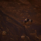 AFP_1CQ6GX.jpg