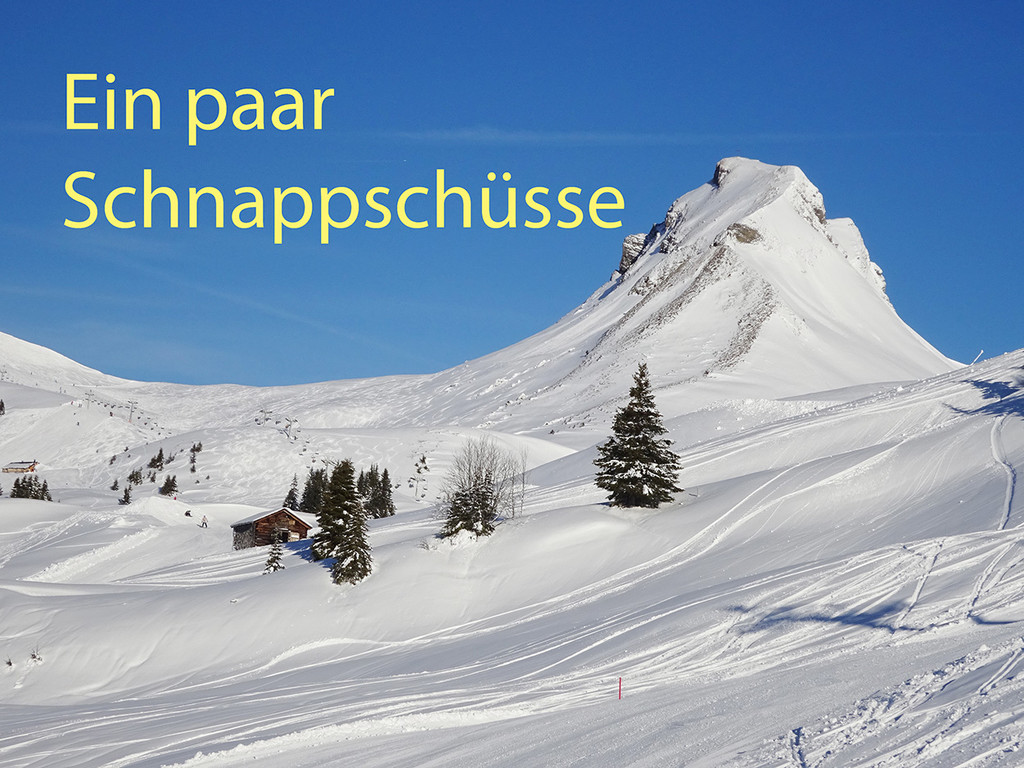 85 Schnappschu__sse.jpg