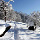 Winterwanderung.jpg