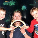 Bilder aus dem Haus des Meeres