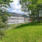 IMG_20180718_114023.jpg