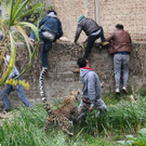 AFP_1CW159.jpg