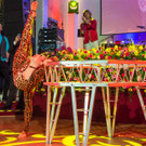 Circus Pikard zu Gast beim 22. Regenbogenball - Austria Trend Parkhotel Schönbrunn - 26.01.2019