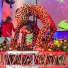 Circus Pikard _12 von 48_.jpg