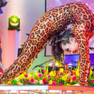 Circus Pikard _22 von 48_.jpg