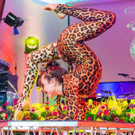 Circus Pikard _23 von 48_.jpg