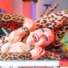 Circus Pikard _34 von 48_.jpg