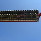 1448628.jpg