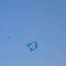 1448865.jpg