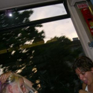 1448990.jpg
