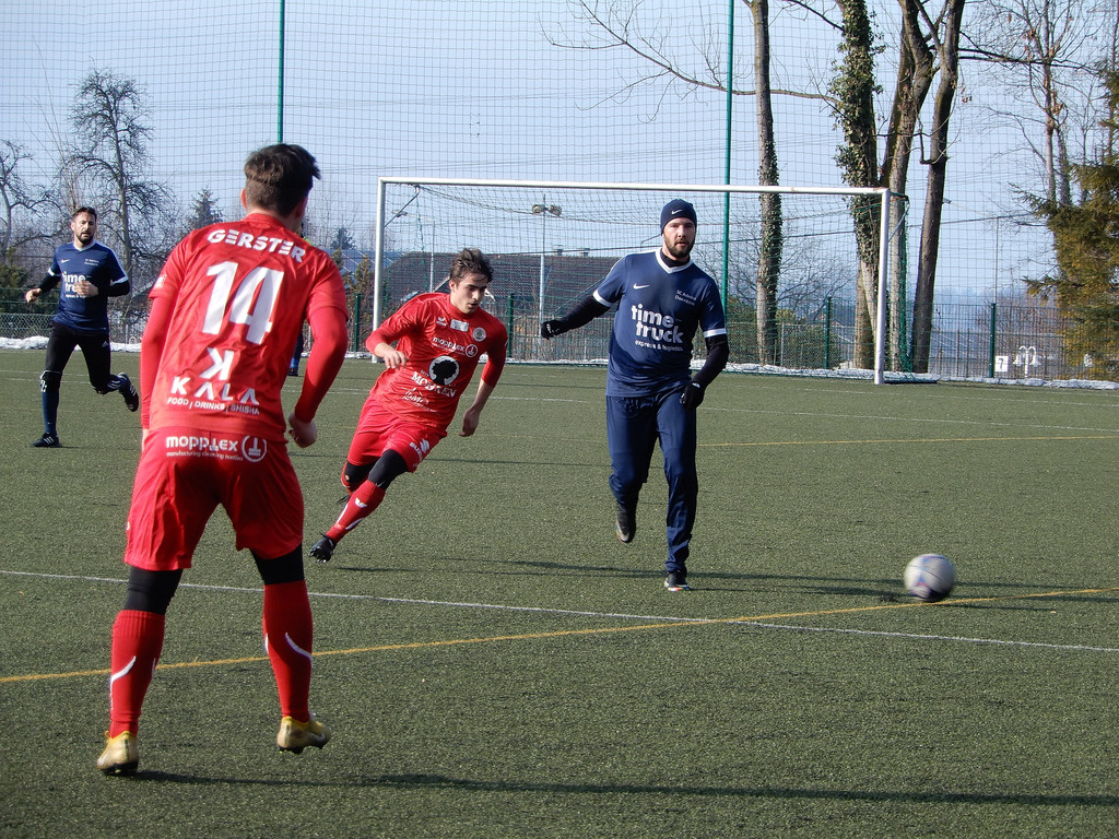 Februar 3 027.JPG
