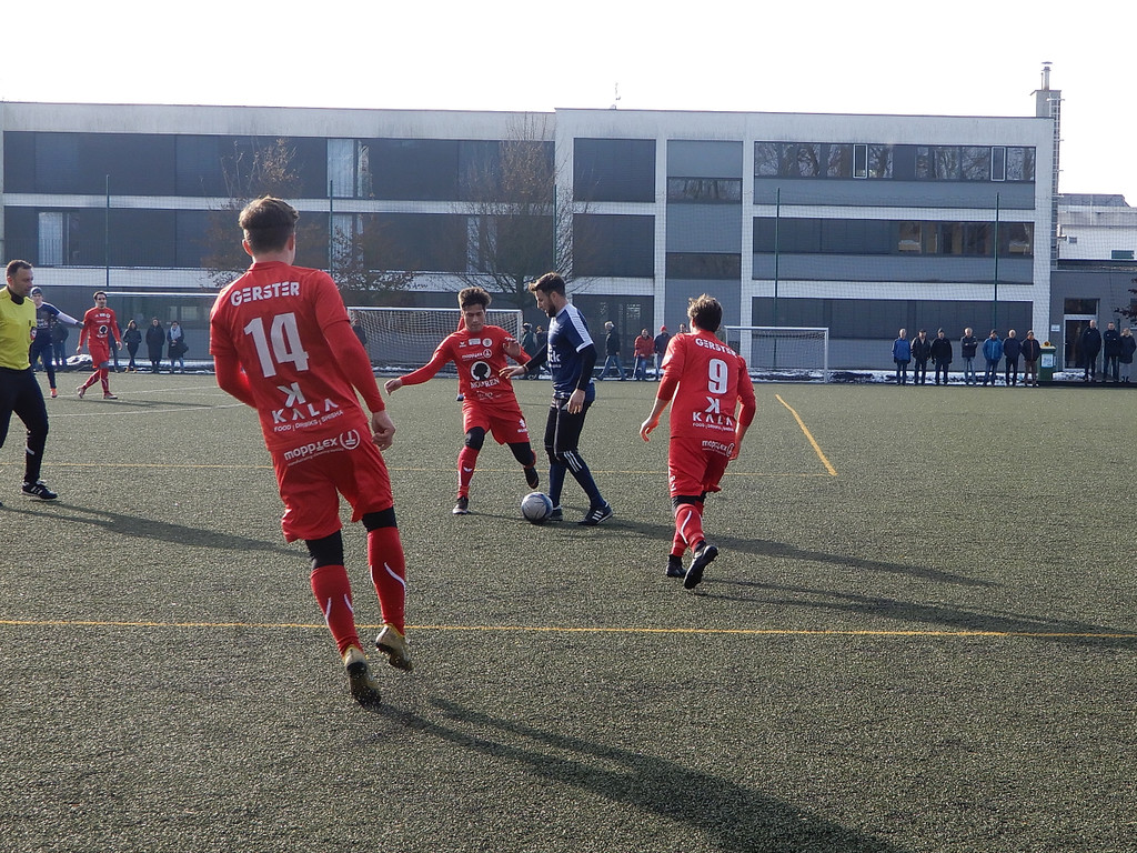 Februar 3 032.JPG
