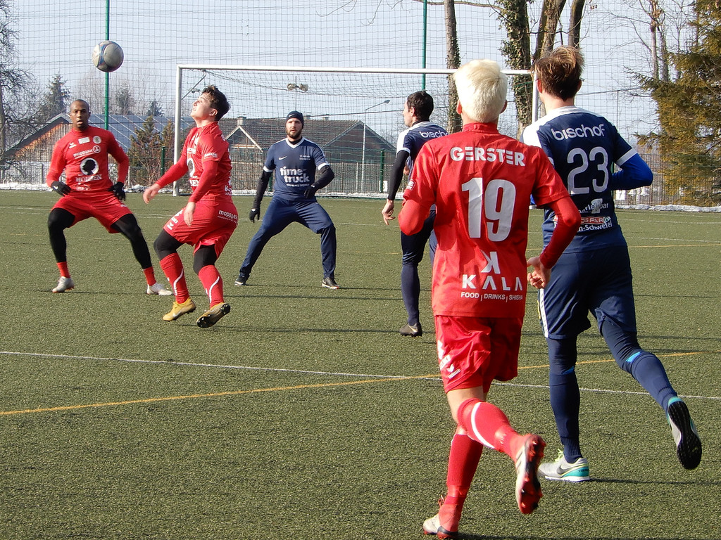 Februar 3 042.JPG