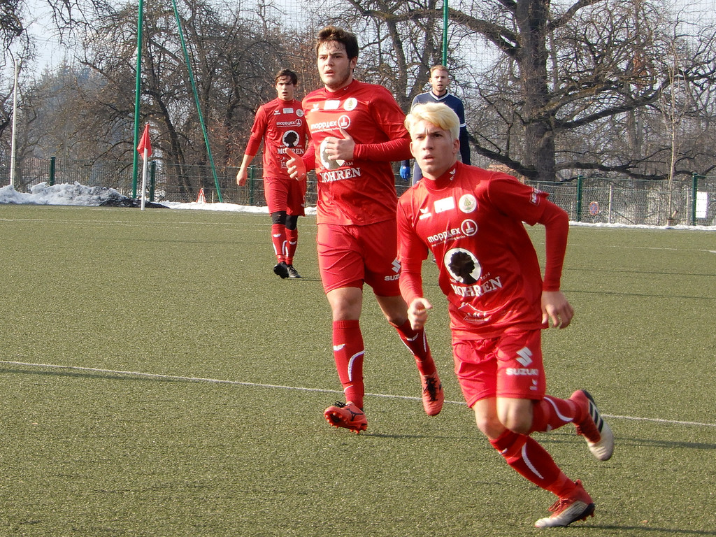 Februar 3 048.JPG