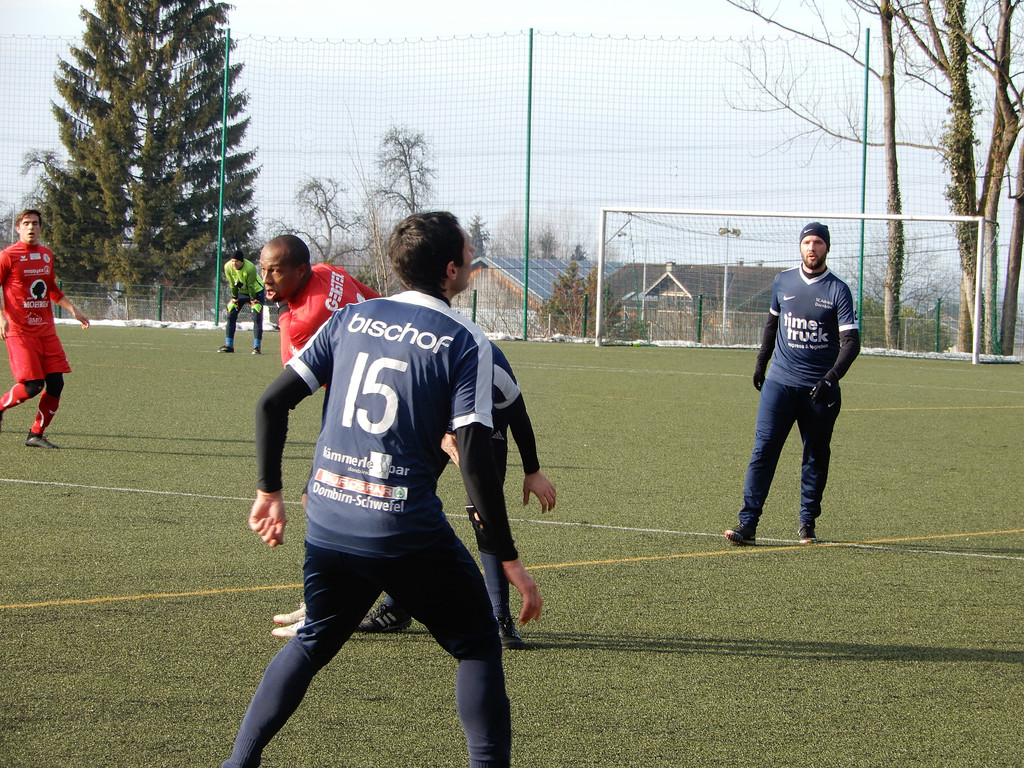 Februar 3 049.JPG