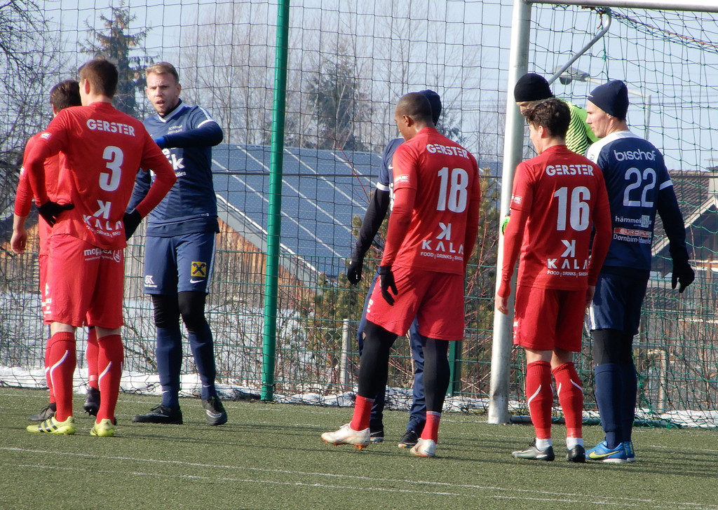 Februar 3 058.JPG