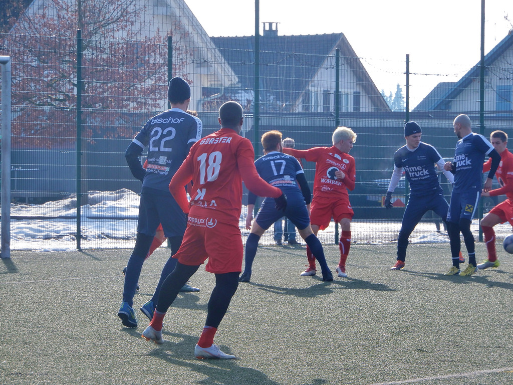 Februar 3 073.JPG
