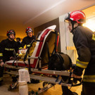 AFP_1D19Z5.jpg
