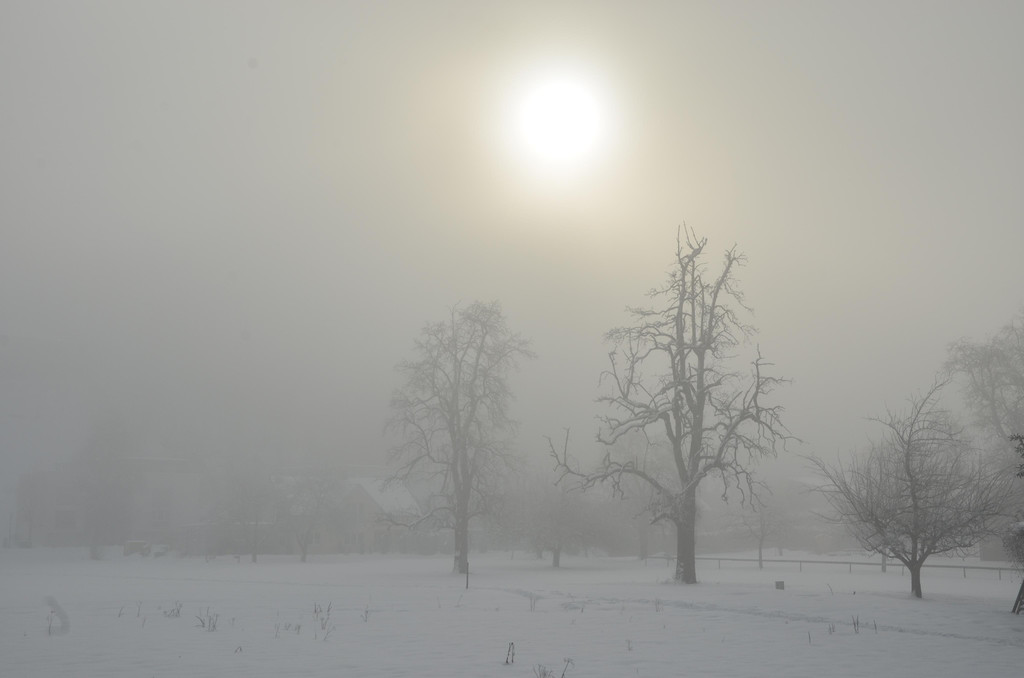 Winter 060219_1.JPG