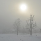 Winter 060219_1.JPG