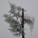 Winter 060219_3.JPG