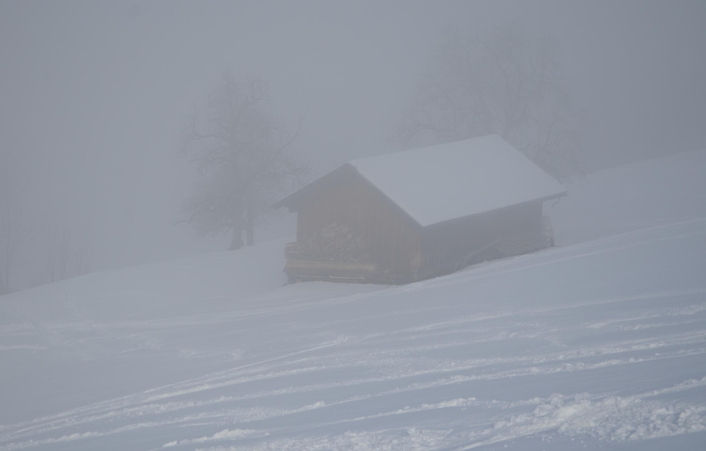 Winter 060219_5.JPG