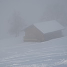 Winter 060219_5.JPG