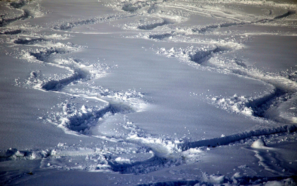 Winter 060219_6.JPG
