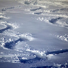 Winter 060219_6.JPG