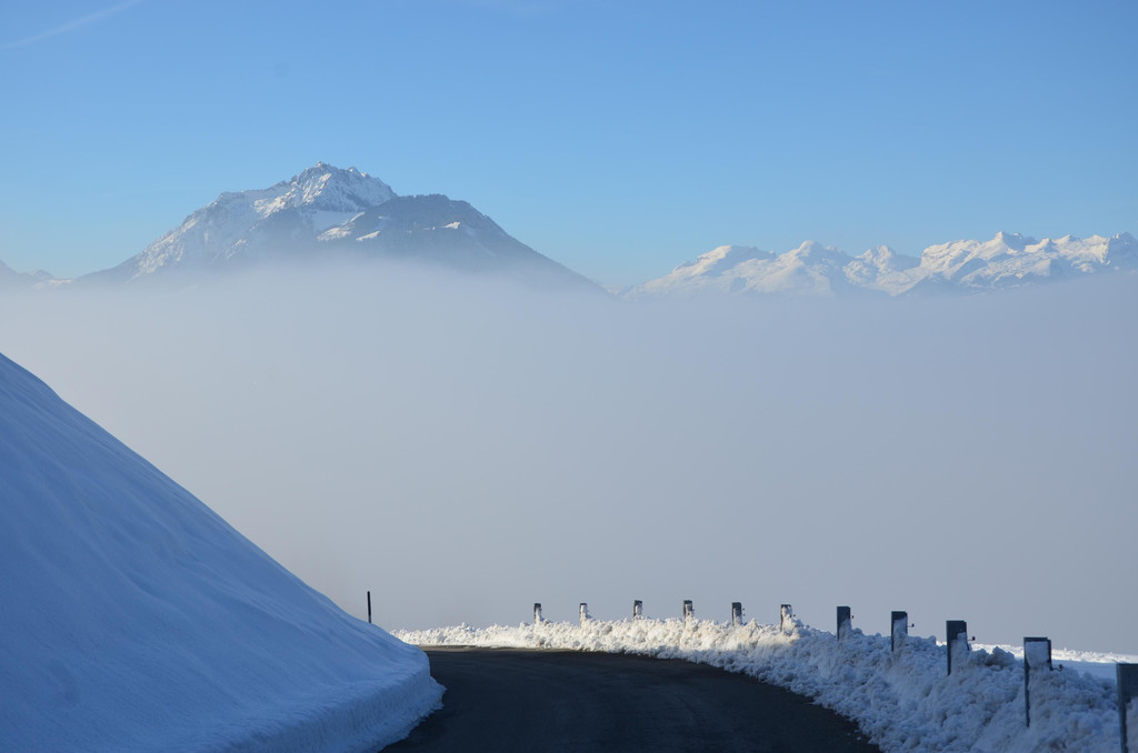 Winter 060219_13.JPG
