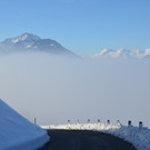 Winter 060219_13.JPG