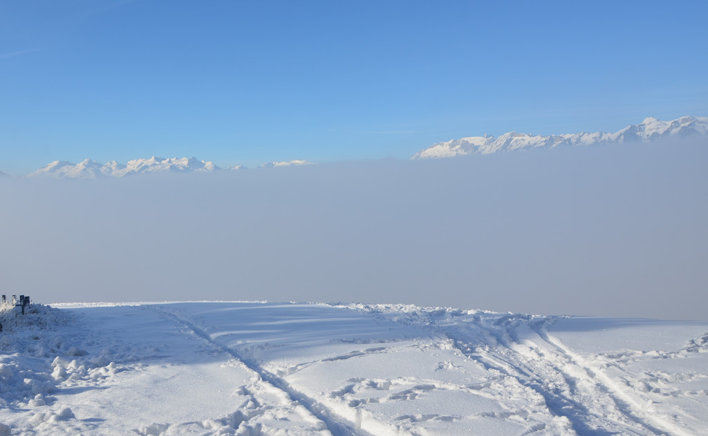 Winter 060219_14.JPG