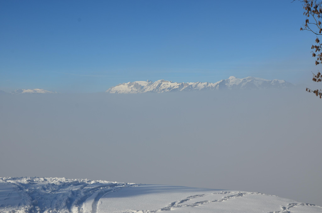 Winter 060219_17.JPG