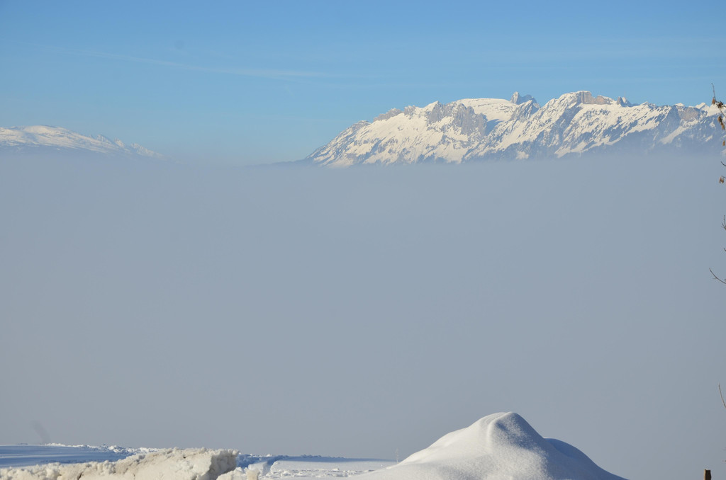 Winter 060219_18.JPG