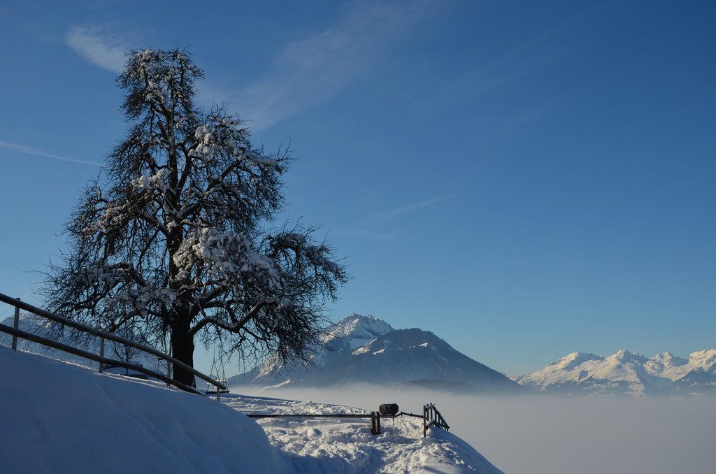 Winter 060219_22.JPG