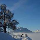 Winter 060219_22.JPG