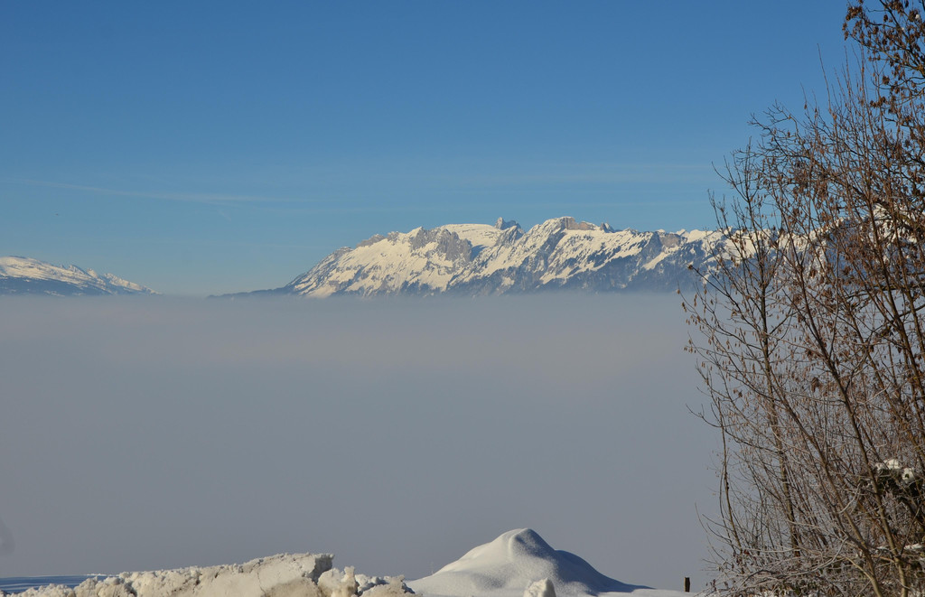 Winter 060219_23.JPG