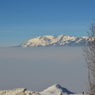 Winter 060219_23.JPG