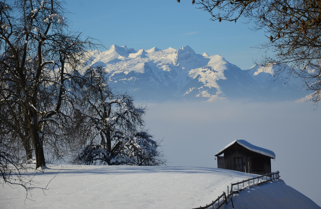 Winter 060219_26.JPG