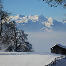 Winter 060219_26.JPG