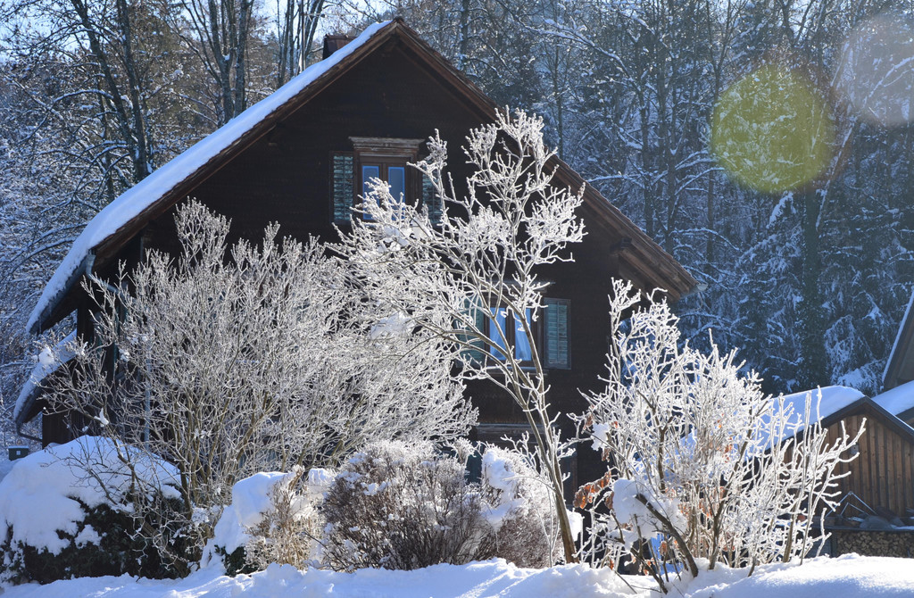 Winter 060219_28.JPG