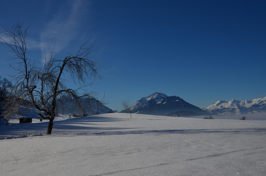 Winter 060219_29.JPG