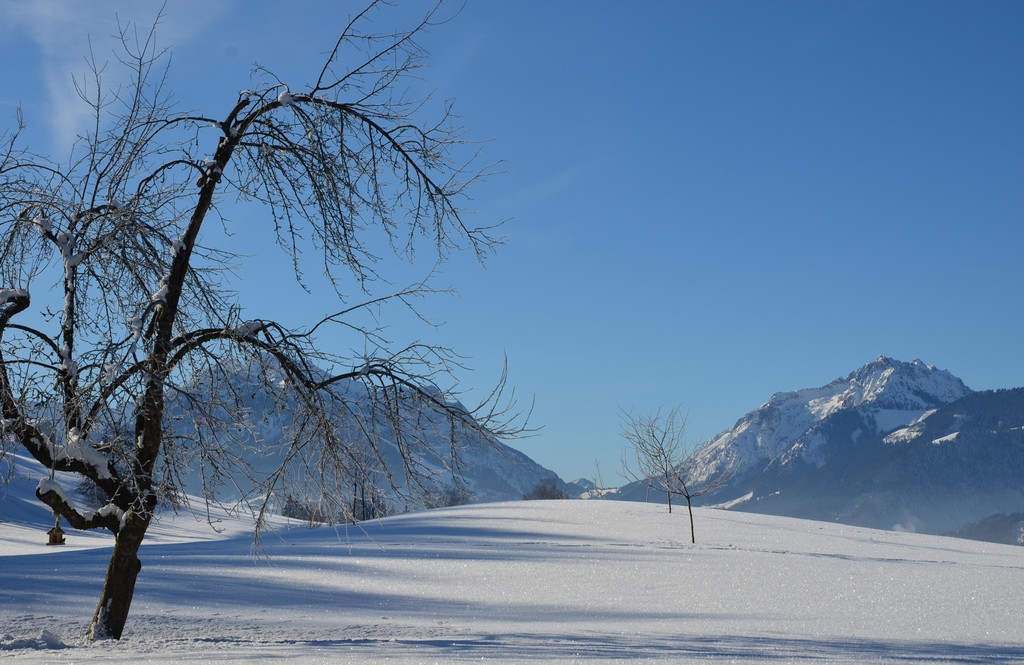 Winter 060219_31.JPG
