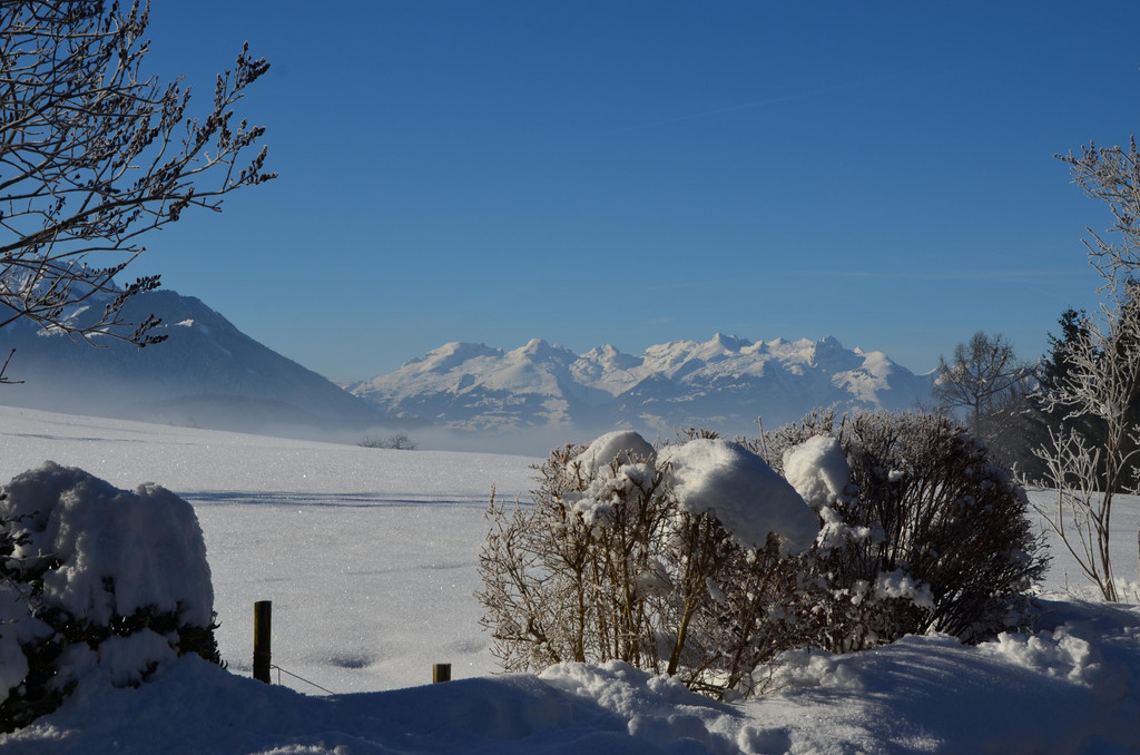 Winter 060219_33.JPG