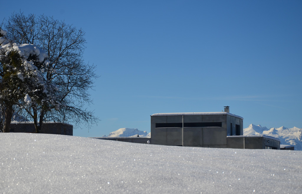 Winter 060219_38.JPG