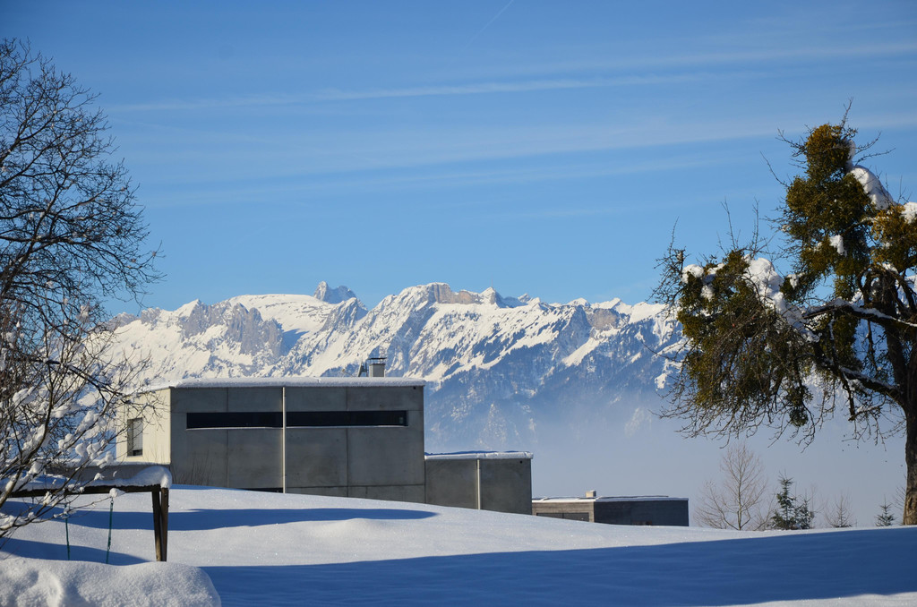Winter 060219_40.JPG