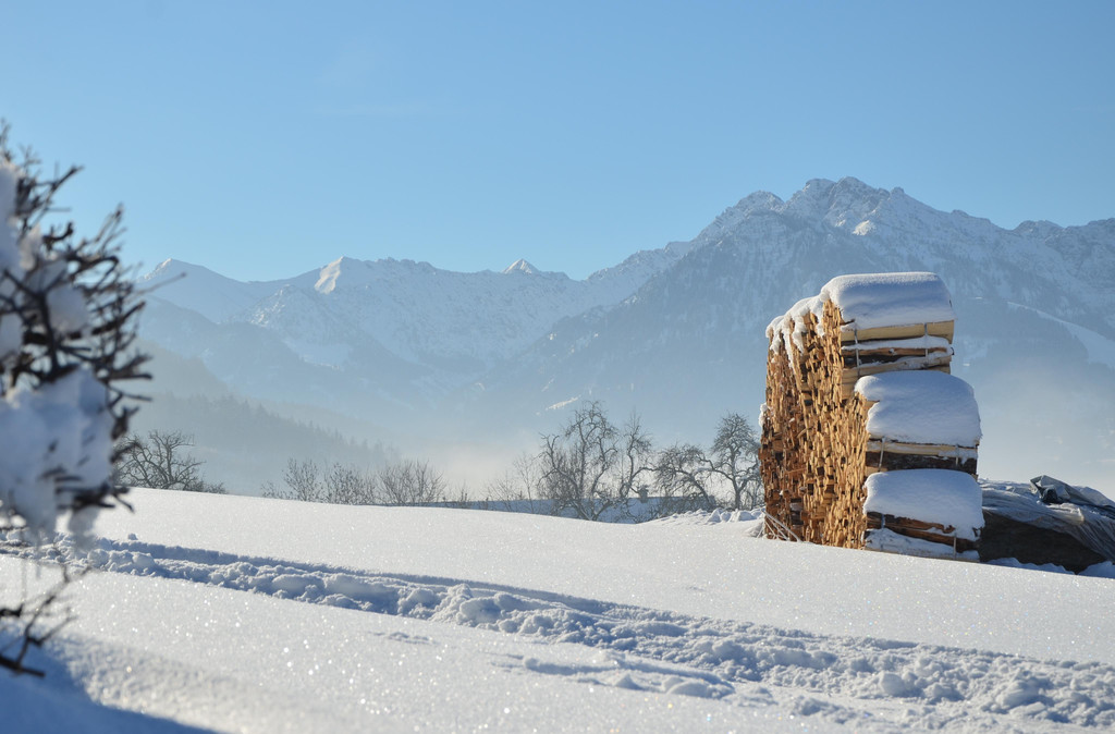Winter 060219_42.JPG