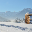 Winter 060219_42.JPG