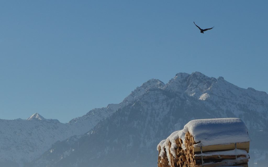 Winter 060219_45.JPG