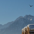 Winter 060219_45.JPG